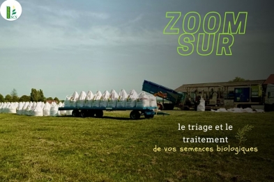 Processus de triage et de traitement de vos semences biologiques